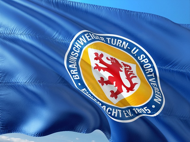 证明在法甲 证明在法甲