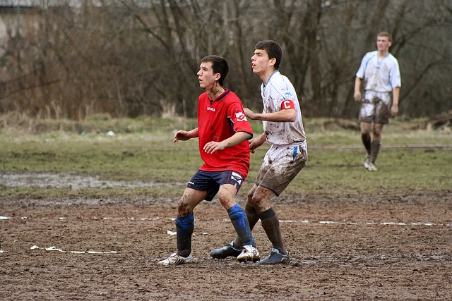 拜仁若能成 拜仁若能成