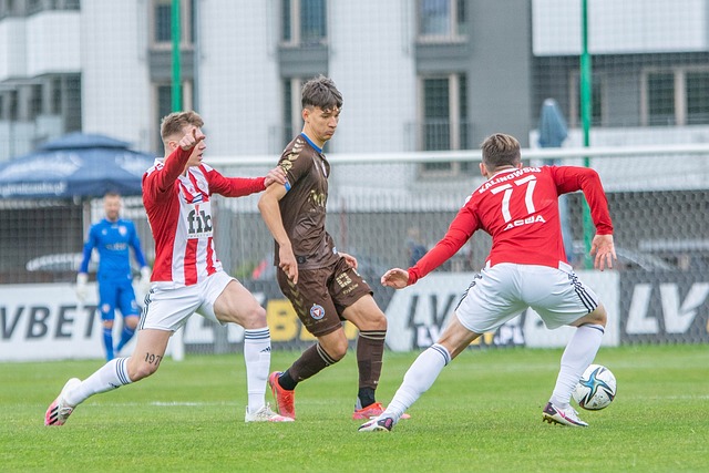 调查的推进 调查的推进