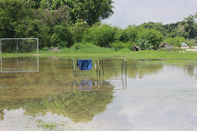 面临的多重 面临的多重