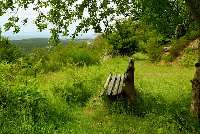 最讓人驚訝 最讓人驚訝